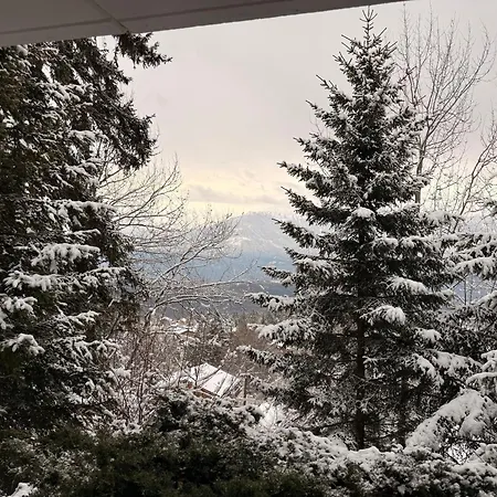 Alpesi faház L'arzette A A 2 Pas Du Centre Avec Magnifique Vue Sur Les Montagnes Anzère